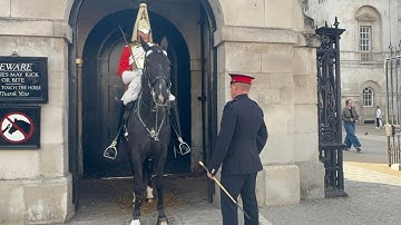 😂HILARIOUS! Unexpected Kindness 🐎 Corporal Makes Sure Everything’s Okay