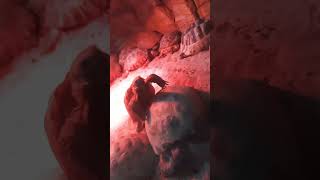ЧерепахаАхаАха #turtle #turtles #черепаха #kievzoo #київськийзоопарк