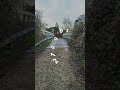 SEQ 012 // liminal bridge crossing