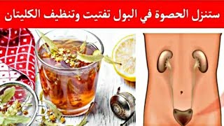 علاج حصى الكلى بوصفات طبيعية