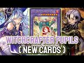 New Witchcrafter ‼️ YGOPRO - Witchcrafter Pupils | Witchcrafter May.2026 | New Cards