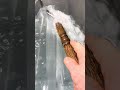 Watch the Mesmerizing Art of Ice Sculpting βοΈ