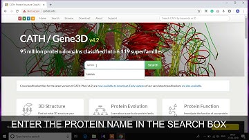 MOTIF FINDING, CATH, SCOP
