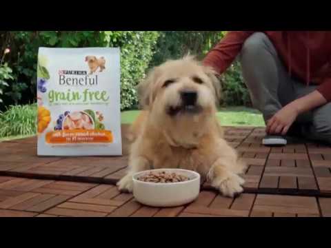 purina-beneful-grain-free-tv-commercial-super-foods