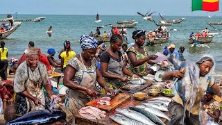 BIGGEST SEAFOOD MARKET COTONOU BÉNIN WEST AFRICA. COST OF FRESH FISH