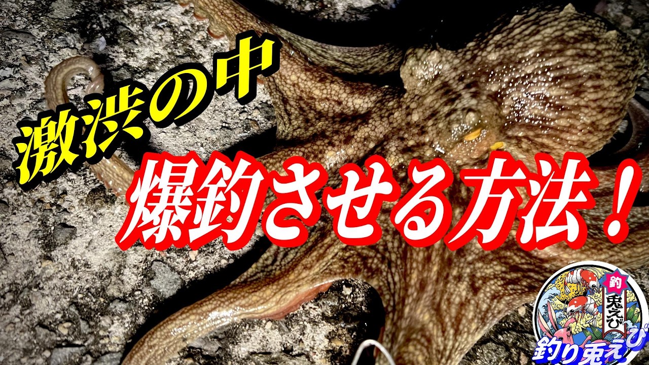 Even in tough conditions, I caught a giant octopus weighing over a