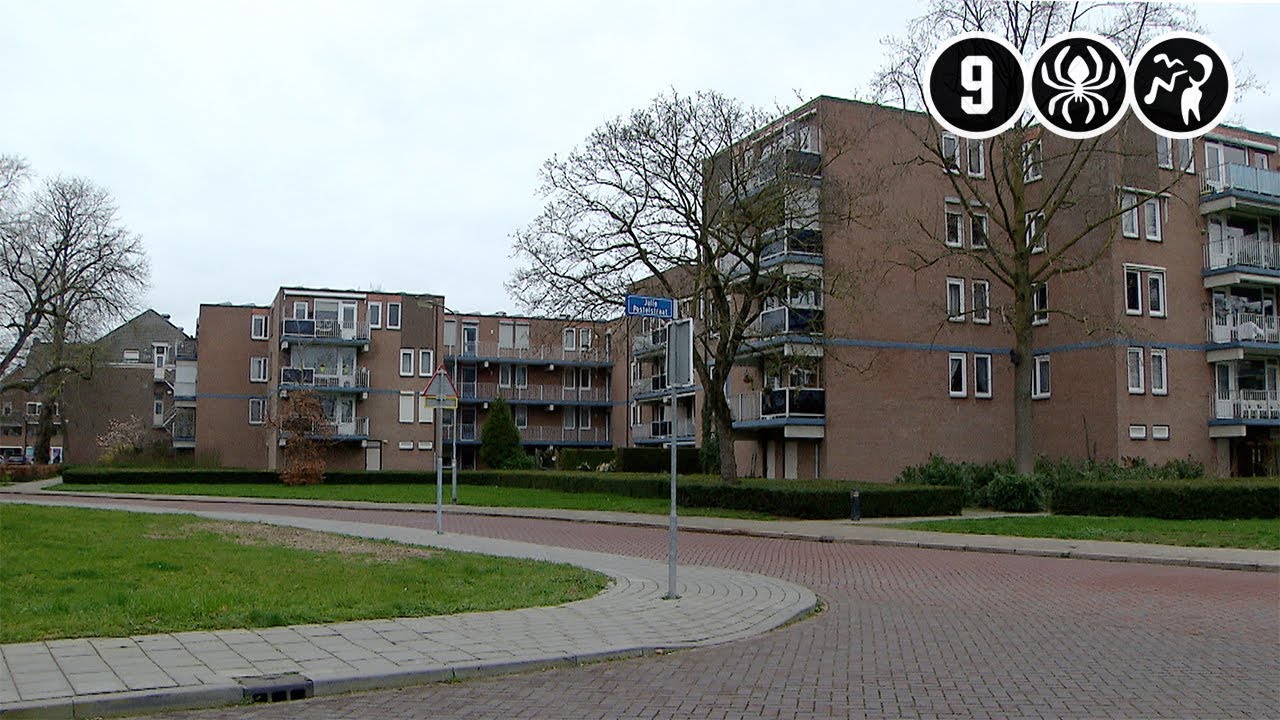 Vandalen mishandelen getuige die hen aanspreekt