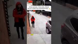 She Was In Trouble, But A Stray Dog Saved Her