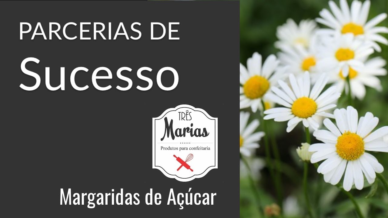 Como Fazer Margaridas de Açúcar