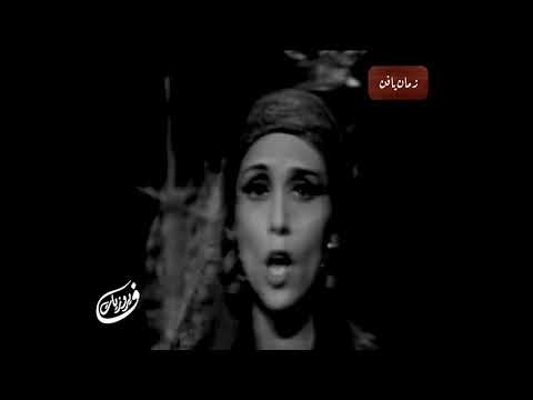 فيروز   فايق ياهوى