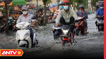 Triều Cường Vượt Đỉnh Năm 2020, Người Dân TP.HCM Lội Nước Nấu Cơm Tối | Tin Tức 24h | ANTV