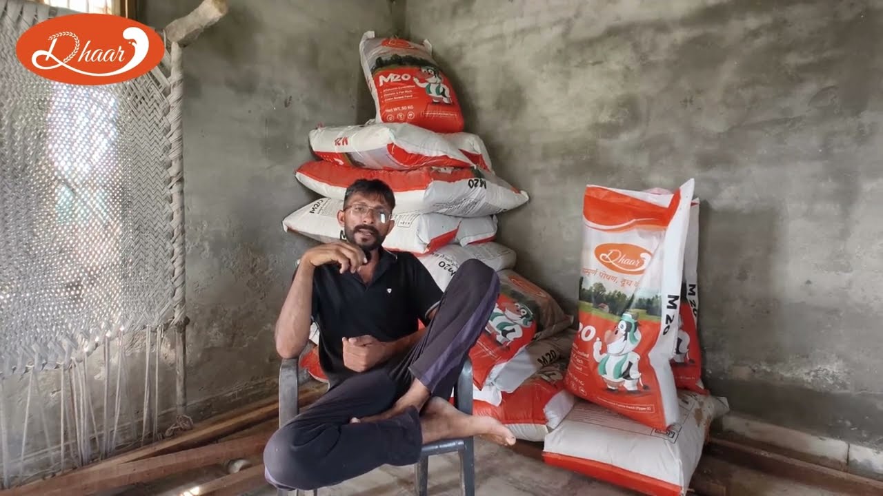 धार पशु आहार - सम्पूर्ण पोषण, दूध की बहार