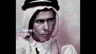 Mr Kitty - After Dark (Arabian Version) (Slowed Reverbed)