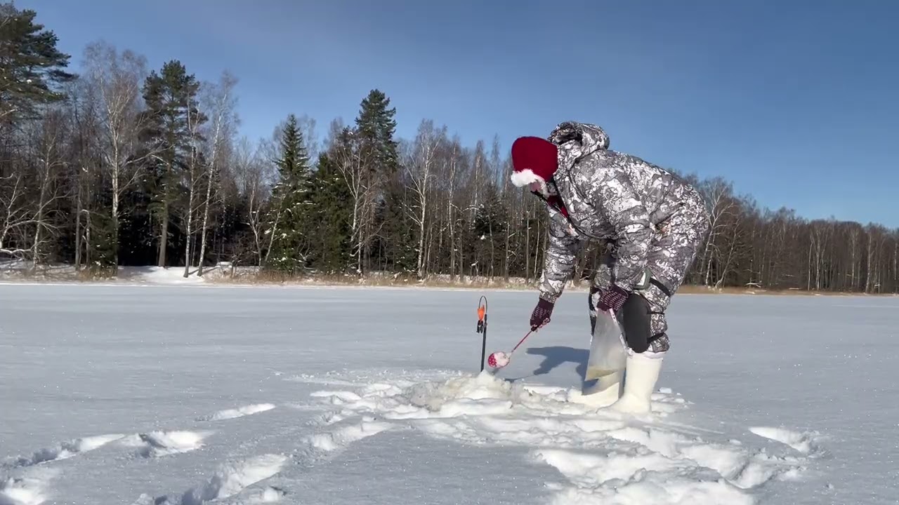 Наслаждение нашей белорусской природой и золотая рыбка на крючке