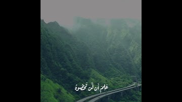 "وَاللَّهُ يُقَدِّرُ اللَّيْلَ وَالنَّهَارَ.."|| القارئ عبد الرحمن مسعد