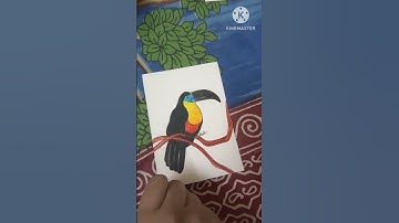 Bird Drawing| Toucan Bird Drawing #youtubeshorts #shortsfeed #viral #viralvideos #drawing
