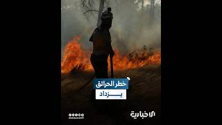 الغابات والأراضي الزراعية الأكثر خطراً.. ارتفاع درجات الحرارة يهدد بمزيد من الحرائق