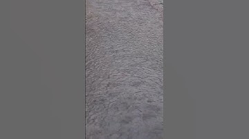 Thumbnail of Hujan Gerimis Aje Kapan derasnya #shorts #shortvideo