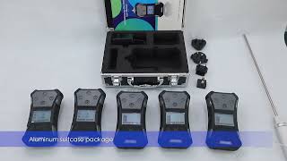Handheld type SKY3000  multi 5 in 1 gas detectors