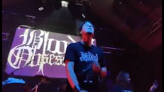 Bloody Obsession - Way of Warrior