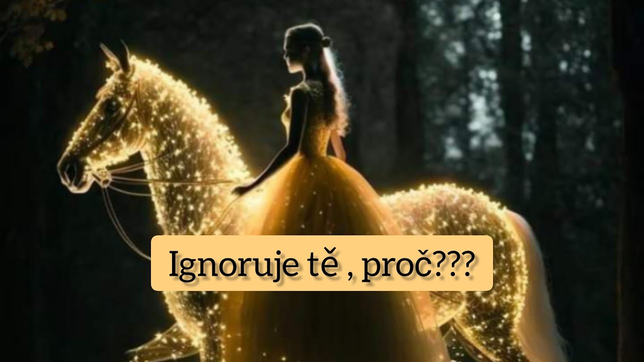 Ignoruje tě , proč??? 🤔😶‍🌫️😑