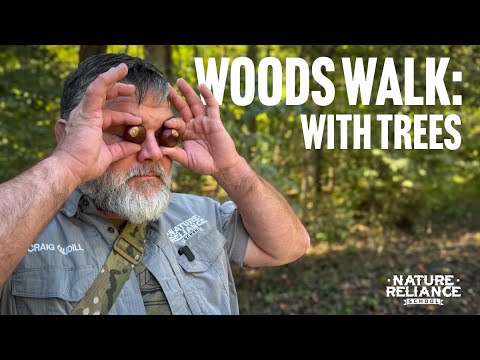 Walk with Me: Learn to Identify Mast Trees and Feed Your Mind Outdoors 🌰
