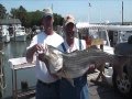 Rockaholic Fishing Charters Chesapeake Bay, MD