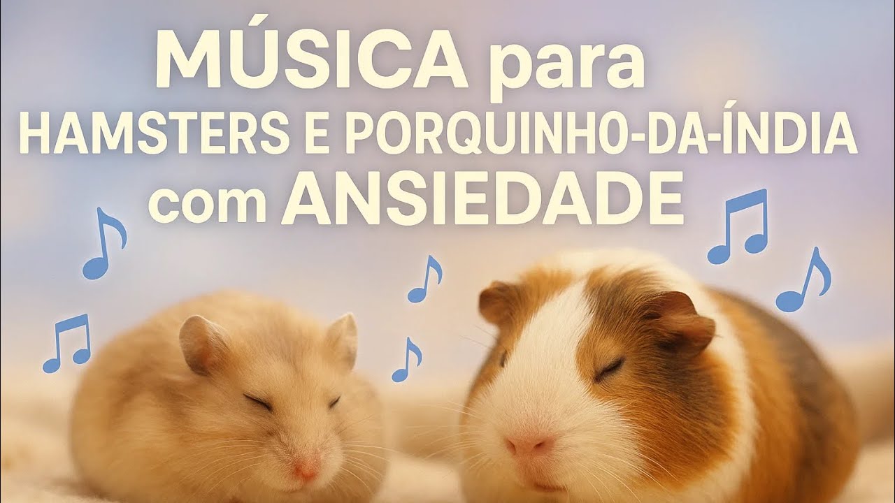 MÚSICA para HAMSTERS E PORQUINHO-DA-ÍNDIA com ANSIEDADE 🐹🎶 Relaxe seu hamster Nervoso ou Inquieto!