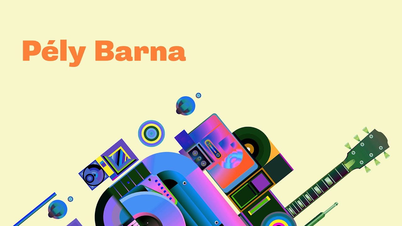 NKA-koncertek az A38 Hajón - Pély Barna