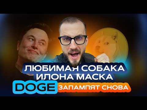 DOGE снова запампят/ РАКЕТА Маска/ крипта - средство оплаты