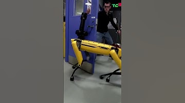 Boston Dynamics