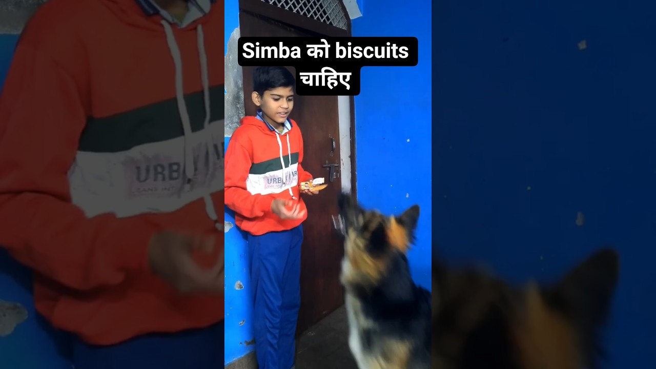 Ab Simba Buiscuit Nhi Mangega 😄 