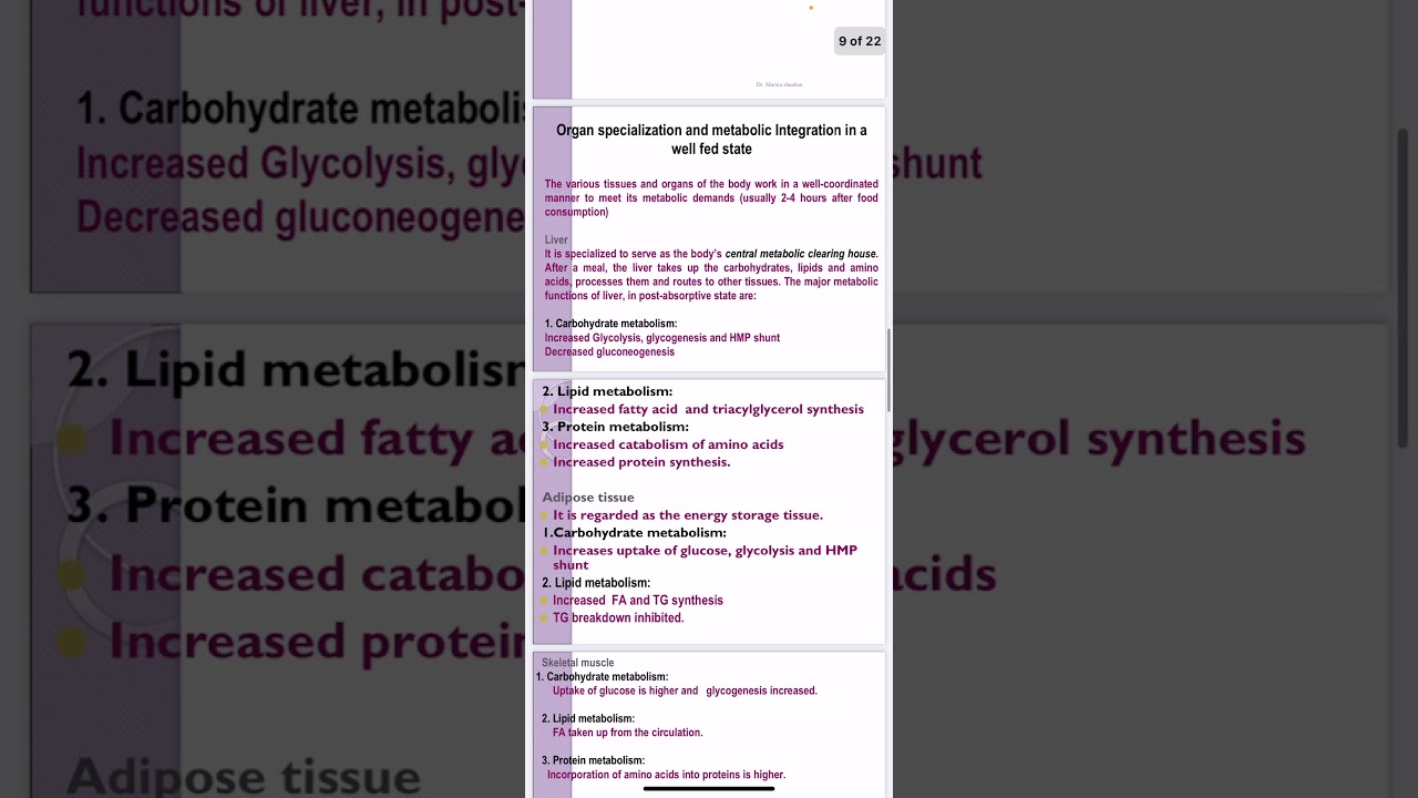 Integration of metabolism By / Dr Marwa Shabaan