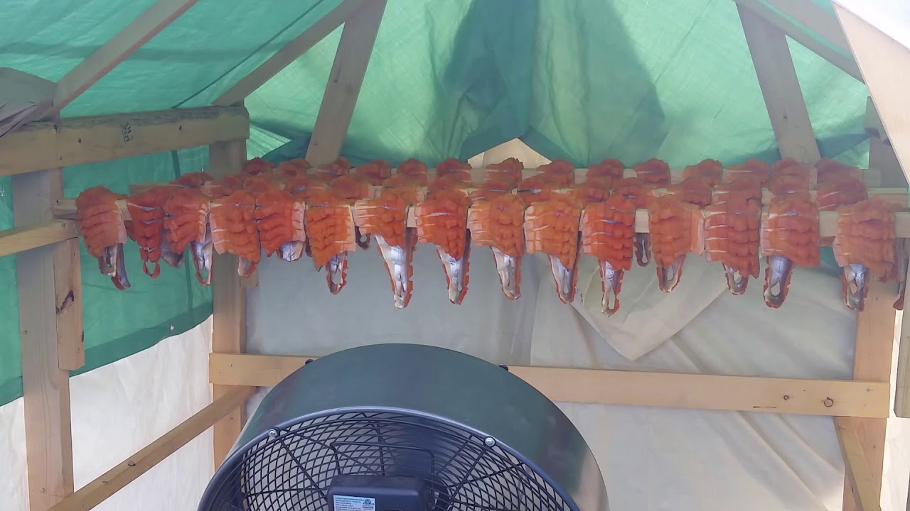 camera iphone 8 plus apk Recreated Yukon Territory First Nations Fish Camp Salmon Smoke House