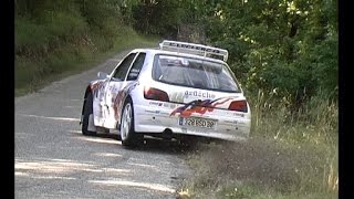 Best Of Rally 306 Maxi Kit Car Pure Sound