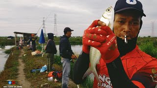 Ini Yang Kalian Cari Untuk Mendapatkan Momen Strike Terbaik || Mancing Ikan Bandeng