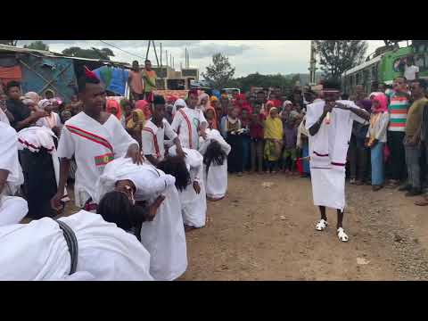 Shaggoyee By GALAMSOWOOD