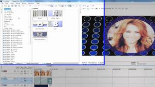 49. Sony vegas Effect