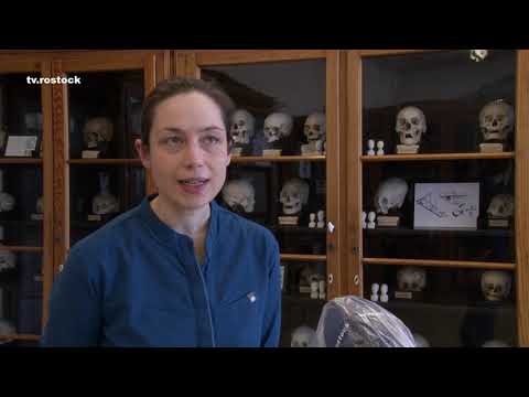 Video: Museen für medizinische Kuriositäten, Taxidermie und Anatomie