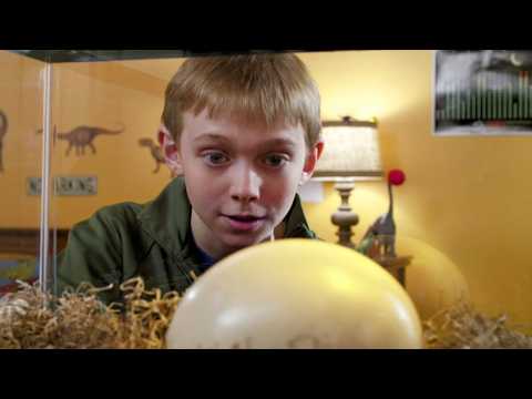 JURASSIC SCHOOL