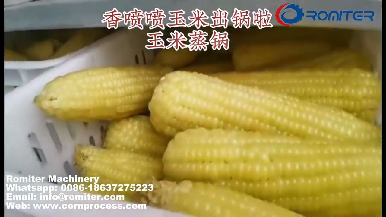 Batch Type Pressure Bearing Frozen Corn Cob Cooking Steamer