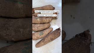 See yam 5k! Fair or pricey?