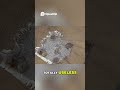 Best Adhesive Remover_ We Tested 4 Options!
