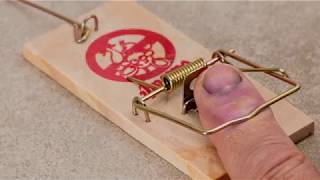 Common Mouse Trap Mistakes You're Making