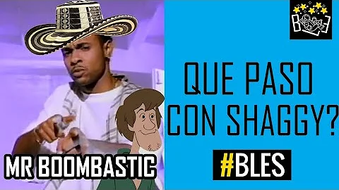 ¿De qué raza era Shaggy?