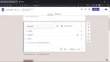 Google Forms: Saltar a pregunta