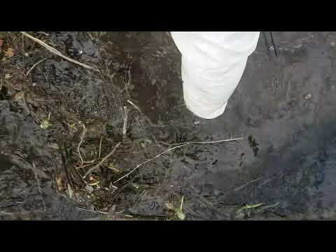Short video preview: Walking in water - by Mila❤