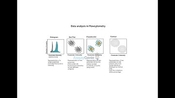 Flow Cytometry Data Analysis