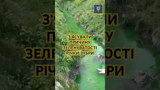 У Львові екологи оприлюднили результати дослідження річки Зубри