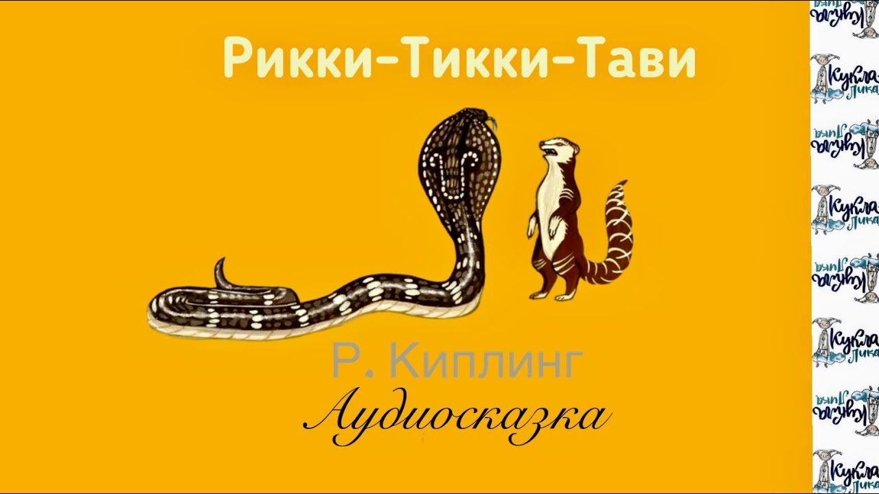 Слушать сказку рикки тикки тави. Нагайна рикки тикки тави. Рикки тикки тави аудиосказка. Киплинг рикки тикки книга. Нагайна рикки тикки тави.
